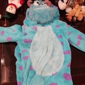 Disney sully costume